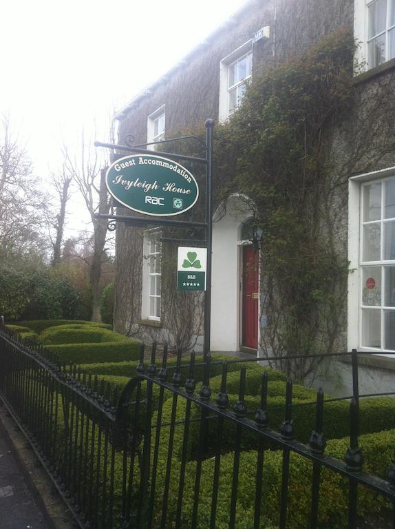 Ivyleigh House Bed & Breakfast Port Laoise Ngoại thất bức ảnh